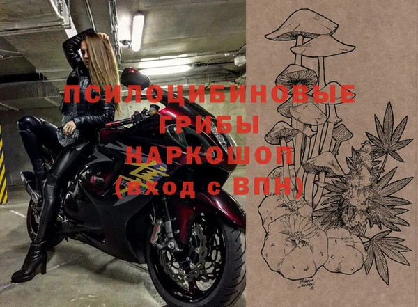 гидра Беломорск