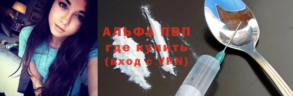 крисы Богданович
