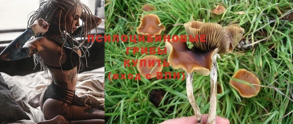 эйфоретик Бугульма