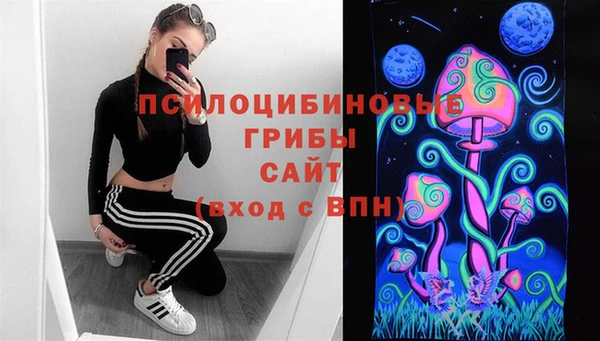 mdpv Гусев