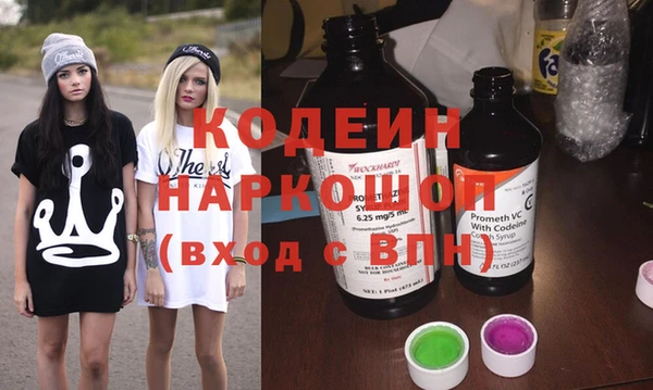 2c-b Бородино