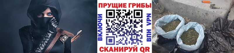 продажа наркотиков  площадка клад  Галлюциногенные грибы Cubensis  Баксан 
